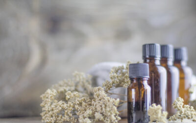 Which essential oils are the best for wellbeing?